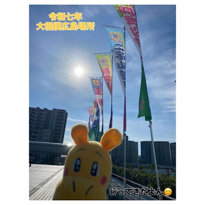 大相撲！広島場所