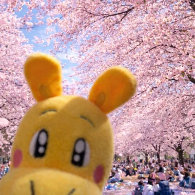 落ち着いてきました！