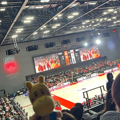 バスケ女子日本代表観戦！