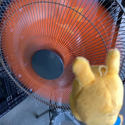 暑い中の作業！