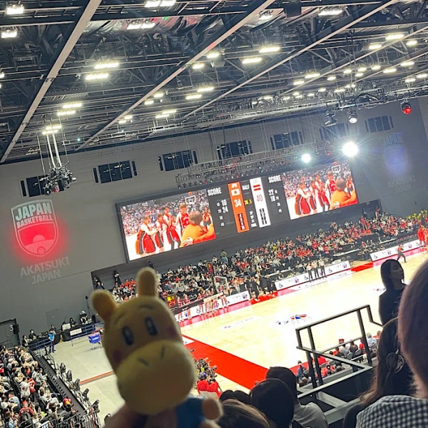 スタッフブログ「バスケ女子日本代表観戦！」