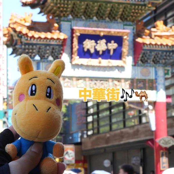スタッフブログ「らくだよんIN 横浜」