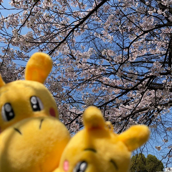 スタッフブログ「4月新生活突然！」